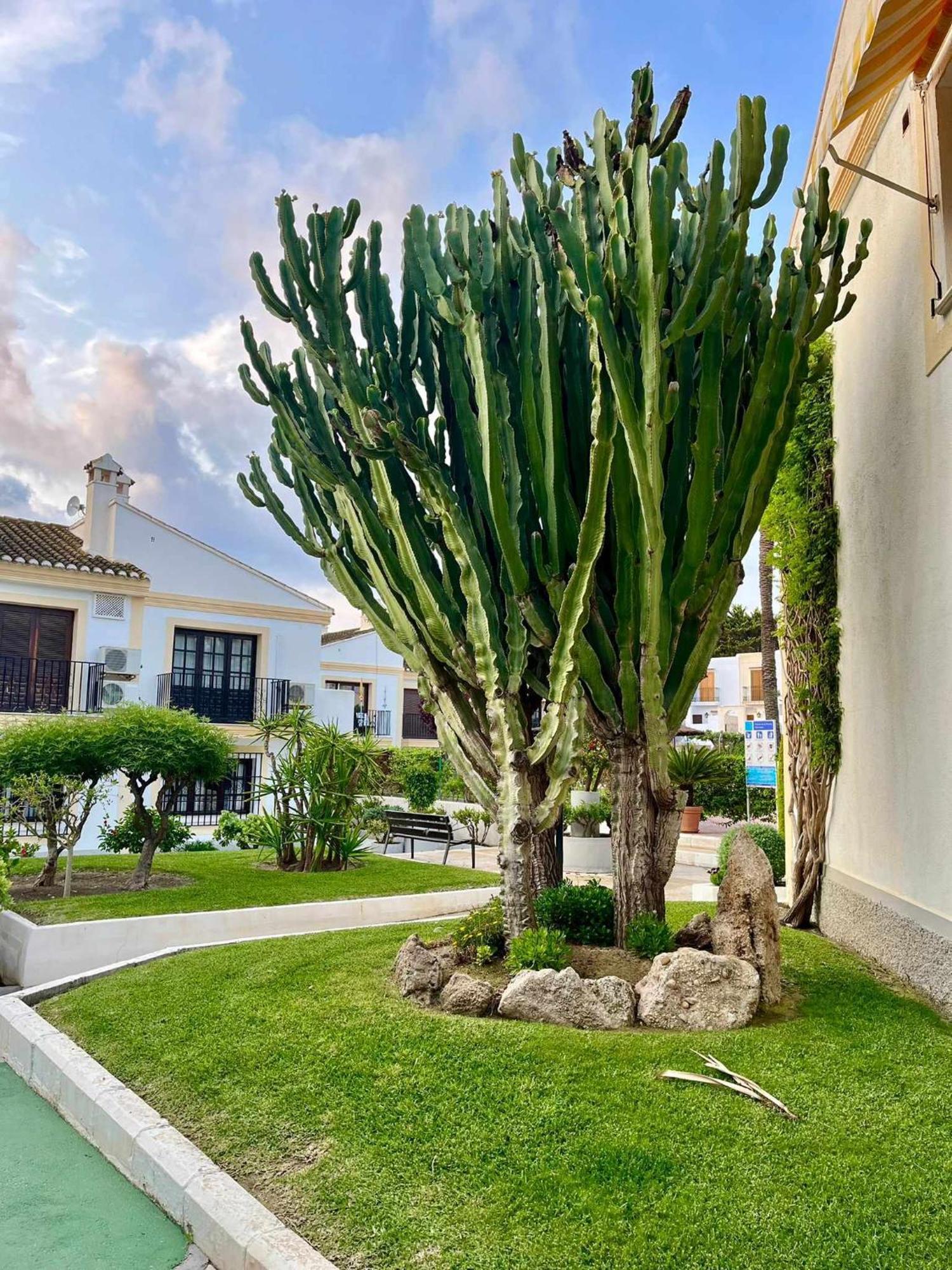 Apartamento Vera Coast 123 Playas de Vera Esterno foto