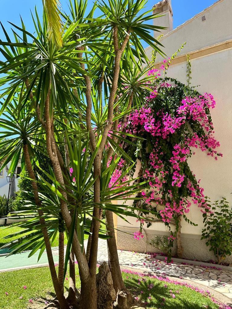 Apartamento Vera Coast 123 Playas de Vera Esterno foto